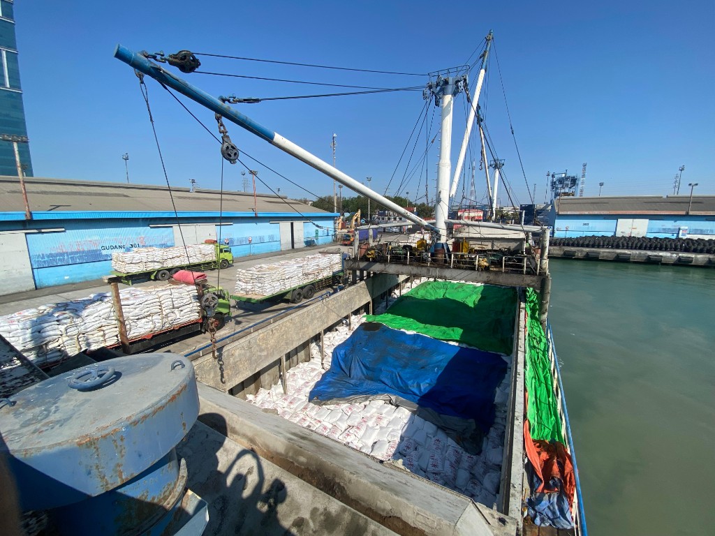 Bulk cargo handling in ship hold